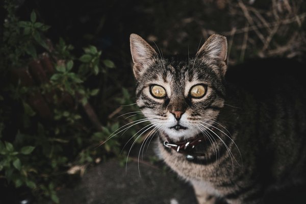 Illuminating every space: expert tips for selecting perfect lighting fixtures for your home