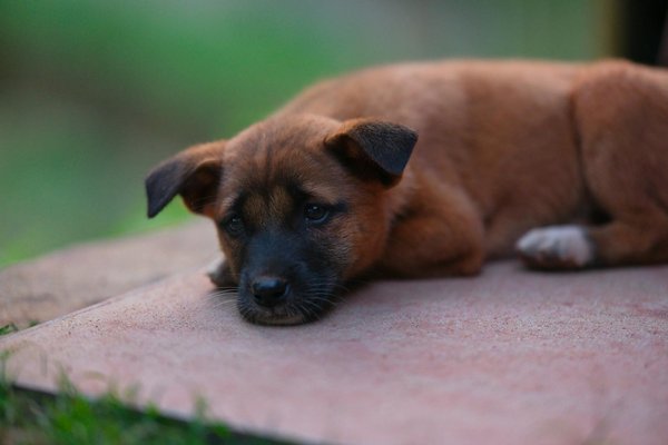 Furry leg warmers: stay cozy and stylish this season